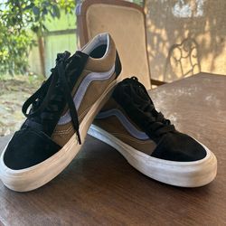 Vans Skate shoes