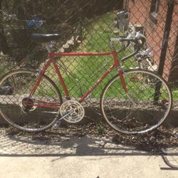 Schwinn Traveler Bike
