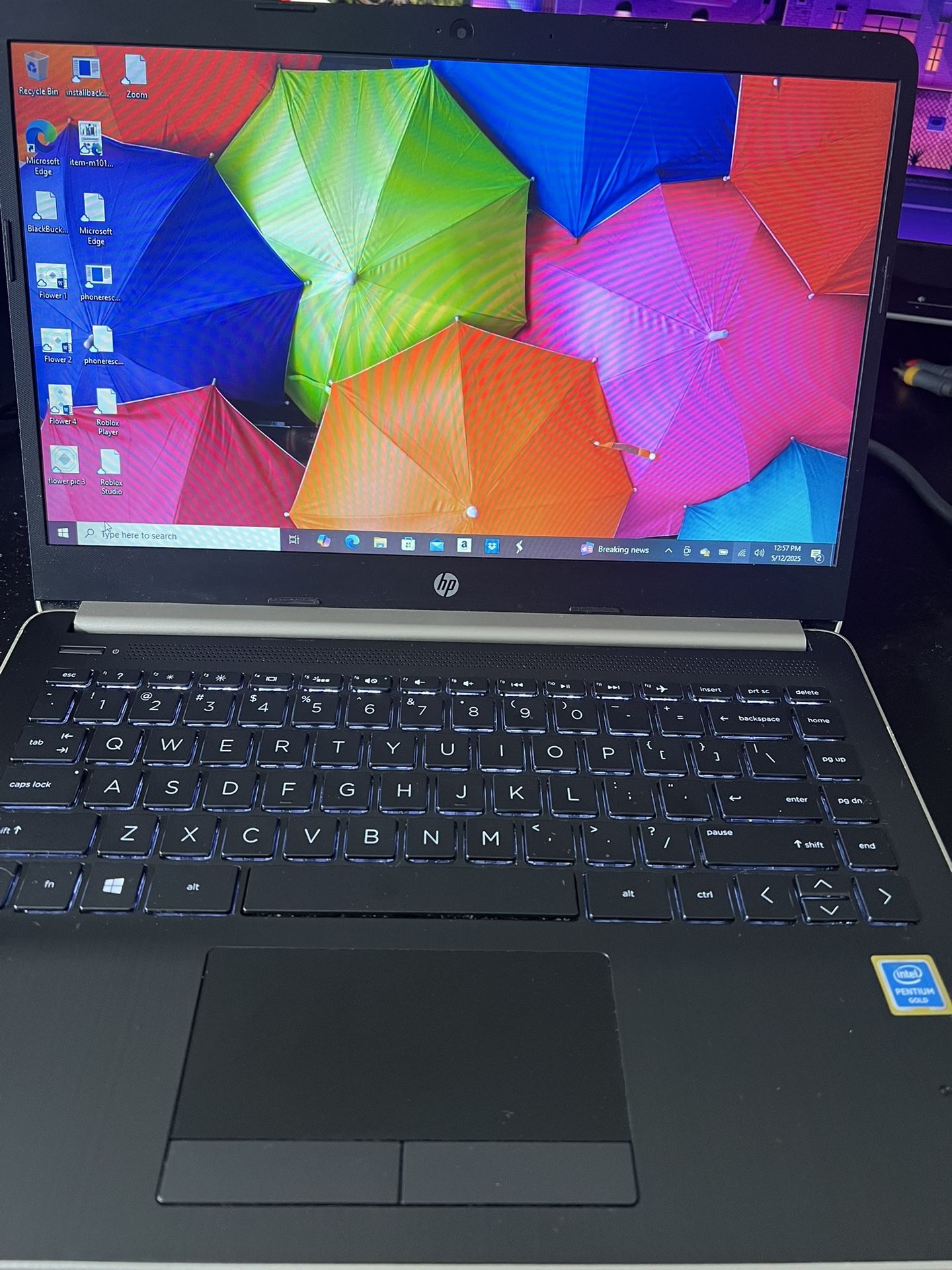 HP Laptop