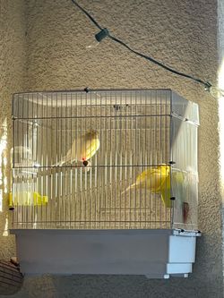 Cage