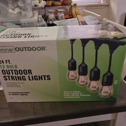 Outdoor String Lights 24ft