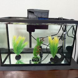 5 Gallon Aquarium Fish Tank