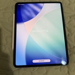 iPad Pro 13 inch Apple Pen pro