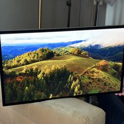 Apple Studio Display 27” Standard Vesa mount