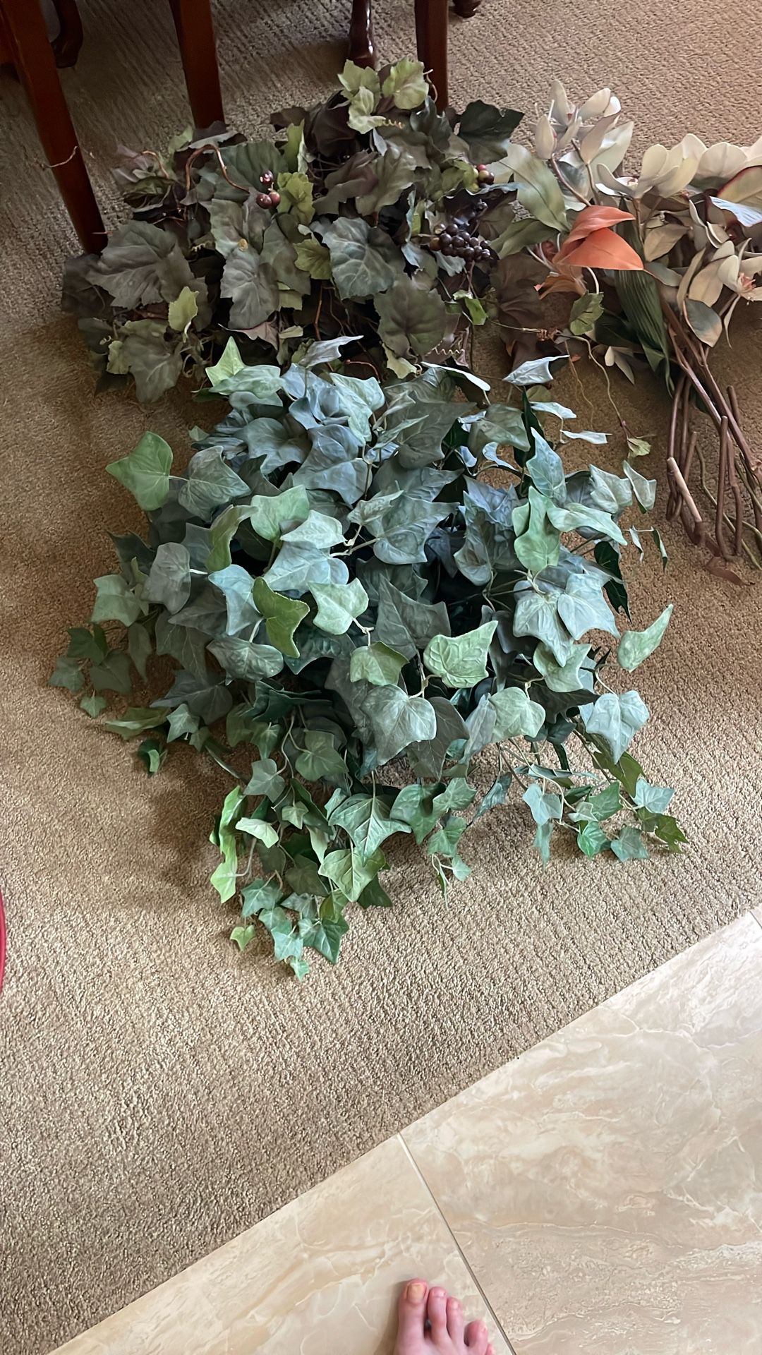 Plastic Plants