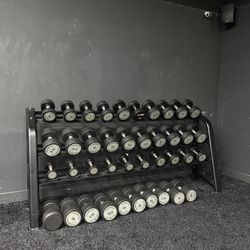 Technogym 20 pairs dumbbell set