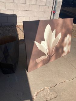 Frame and stuff sale