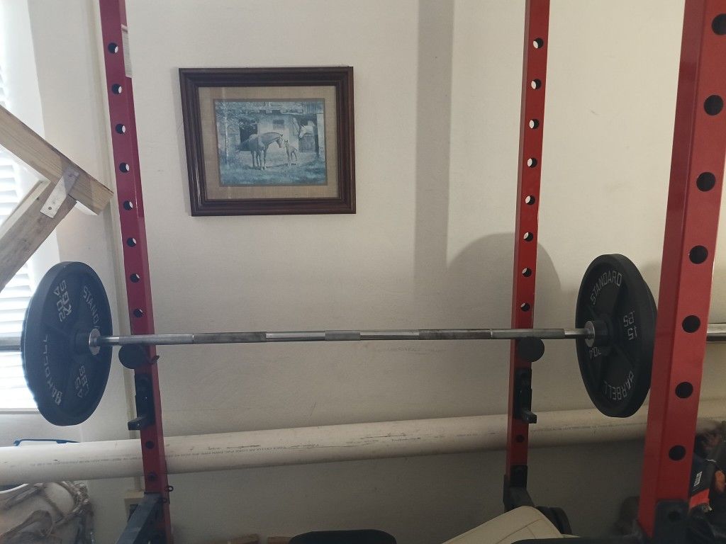 Olympic Weight Bar And Weights 250lb