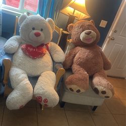 Bear 