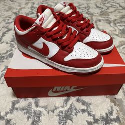Nike dunk low sb