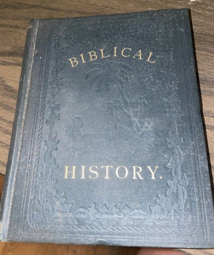 1880 Biblical History in the words of holy scripture