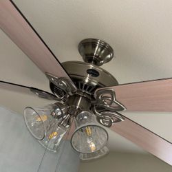 Season + Hunter (controller) Ceiling Fans 