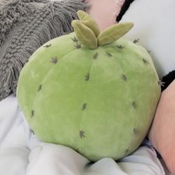 Cactus Succulent Plush Throw Pillow