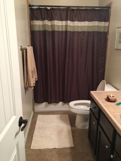 Chocolate brown shower curtain , 2 rugs
