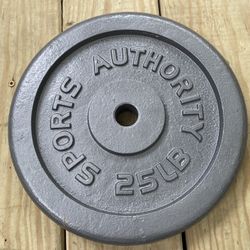 Weight For Workout Gym Weights 25 Lbs / Only 1 Plate