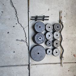 Weights And Bench