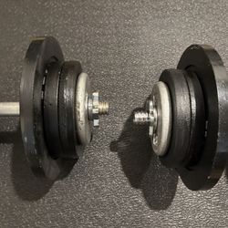 Adjustable Set of Dumbbells. Cast Iron, New Condition 50# per hand [ Total: 100 lbs]
