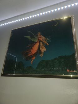 The guardian angel