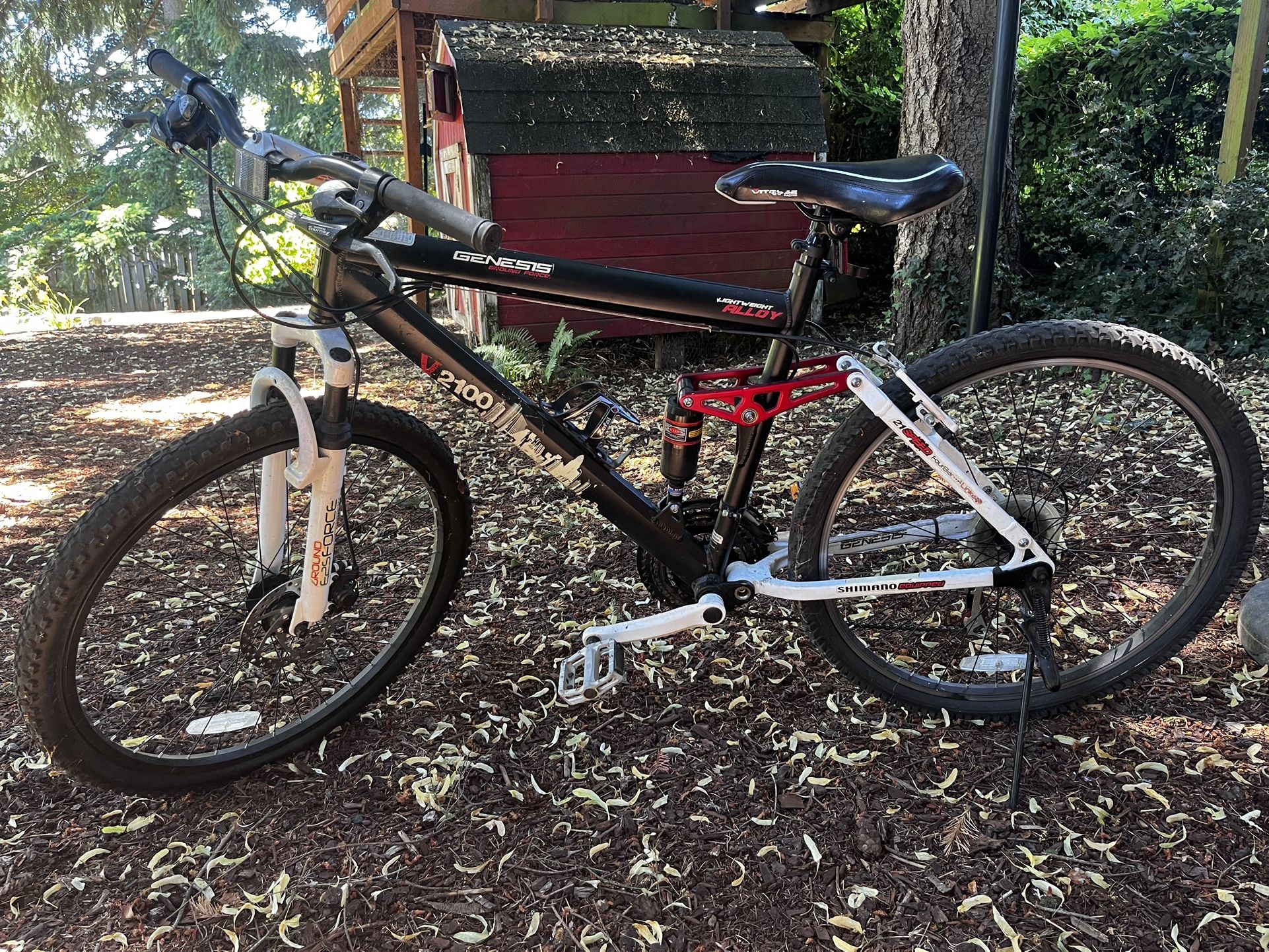 Mountain Bike