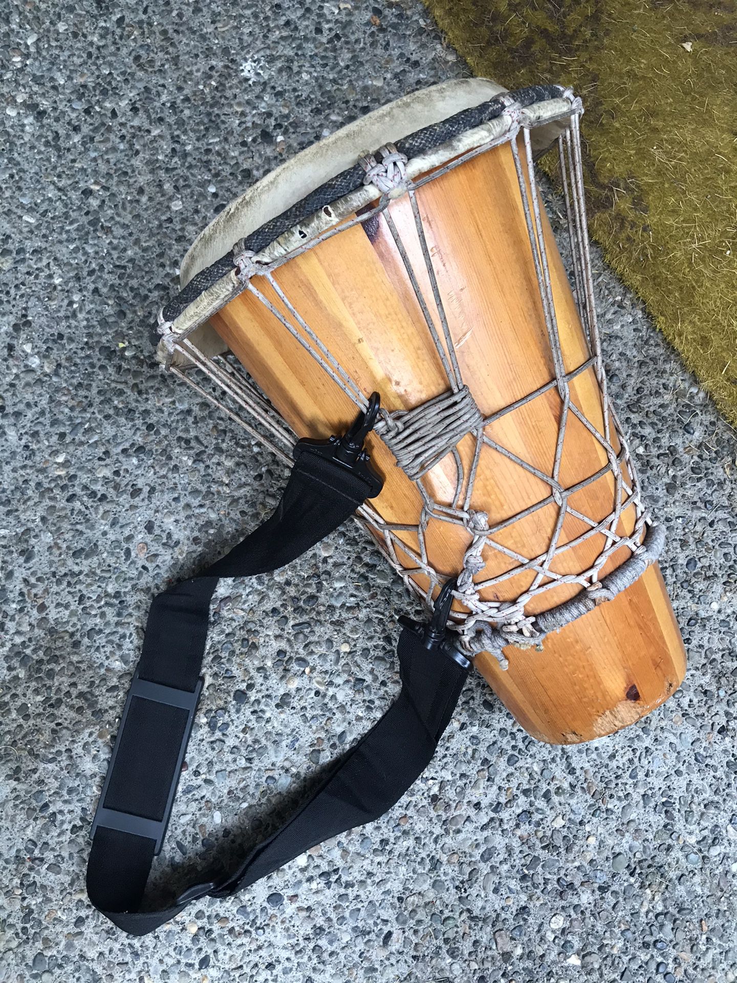 Bongo musical drum