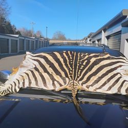 Authentic 100% Zebra Hide