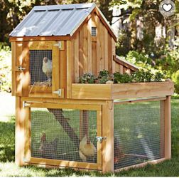 Douglas fir wood, Chicken Coop & Run 