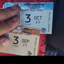 two zone 3 bus passes 