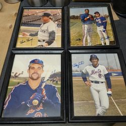MLB Autographed Framed Portraits