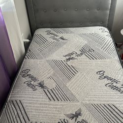 2 Twin Gray Upholstered Bed Frames + 1 Twin Mattress. Great Condition