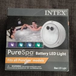 INTEX Spa Filters, Filter Cartridges, and LED Spa Light