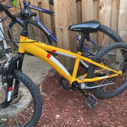 Diamond Back Bike Kids 