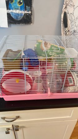 Hamster cage plus everything you need to start