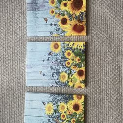 3 Wall Pictures Sell Together. Singlowej