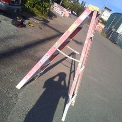 6 Ft Werner Fiberglass Laddee