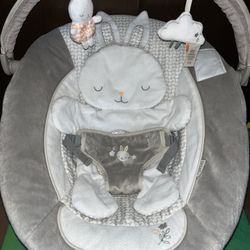 Ingenuity Baby Bouncer