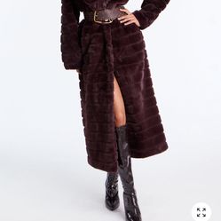 Long Brown Coat 