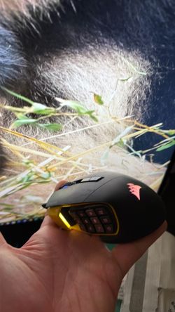 Corsair pro RGB mouse