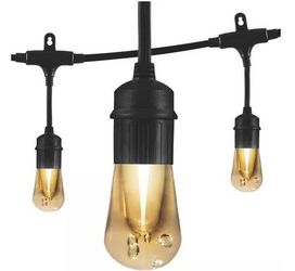 12 Bulb 24 ft. Outdoor/Indoor Black Vintage LED String Lights