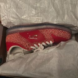 Nike Dunk Low Sb Sting water