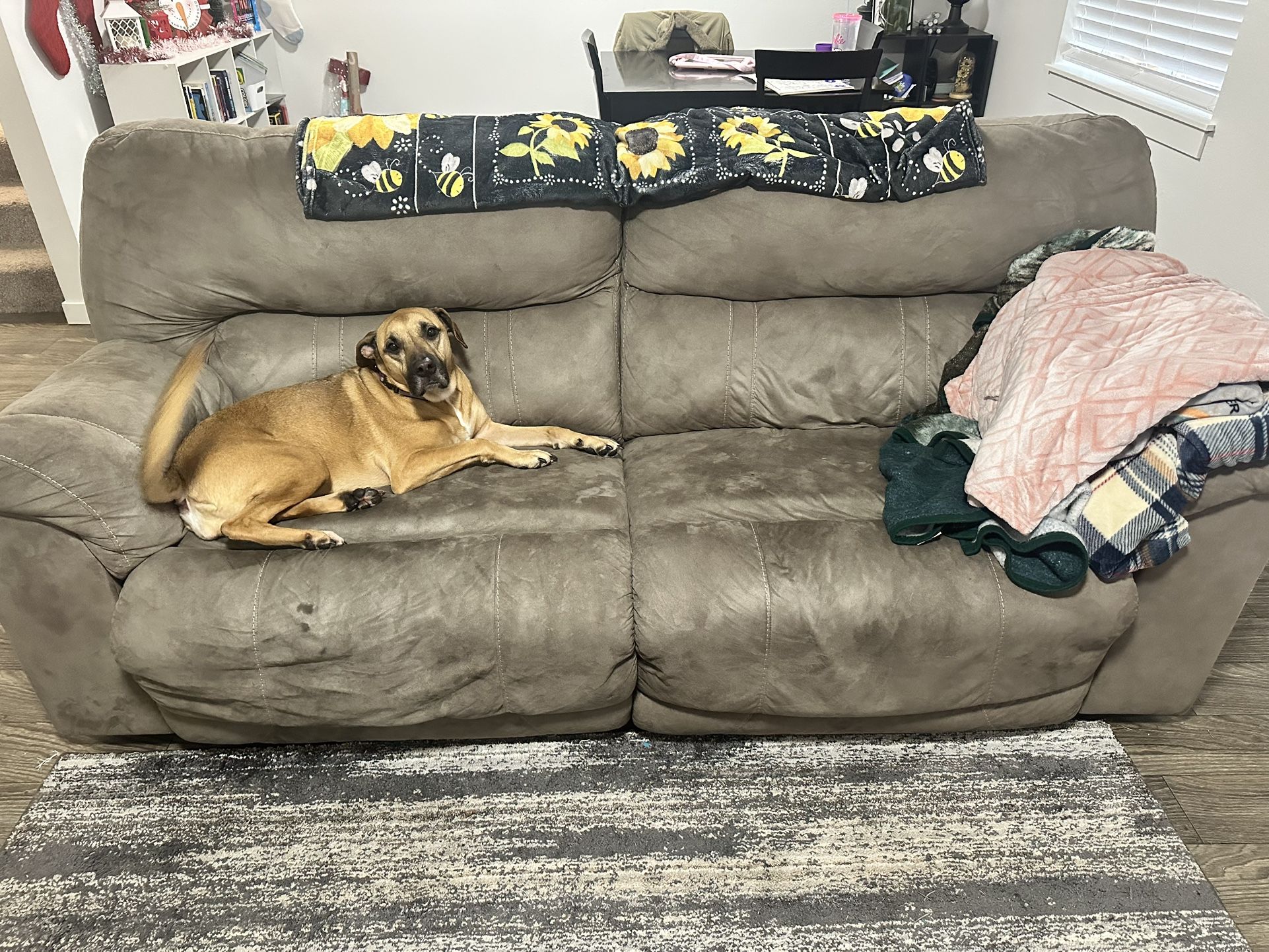Ashley Reclining Couch