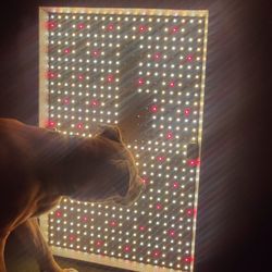LED Grow Light Panel Full Spectrum