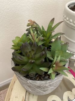 Faux succulent arrangement