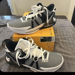 Nike Lebron Size 11.5 M ,13 F