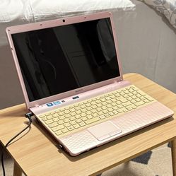 Pink Sony VAIO Laptop