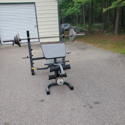 Weight Bench