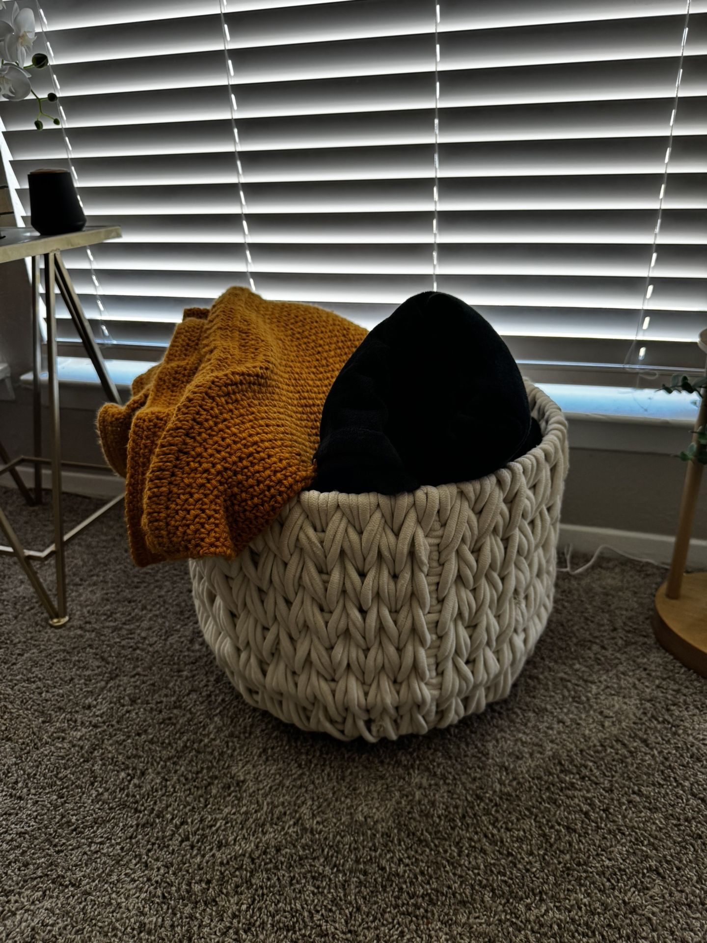 Storage Basket Need Gone ASAP