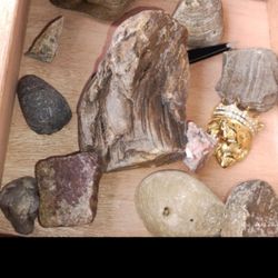 Petrified Wood, Fossils Gems Ect