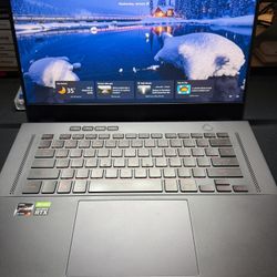GAMING LAPTOP (runs everything well!)