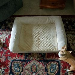Furhaven Sofa Style Orthopedic Pet Bed