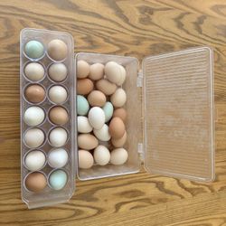 Fresh Farm Eggs